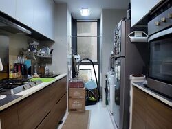 The Miltonia Residences (D27), Condominium #520147771